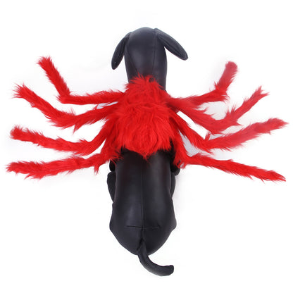 Pet Cat Dog Halloween Creative Spider Costume