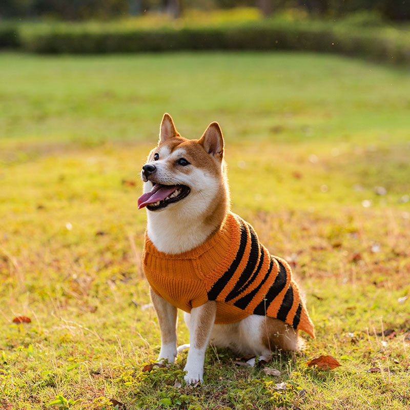 Halloween Dog Sweaters Pet Costume Teddy Warm Leisure Sweater Cosplay