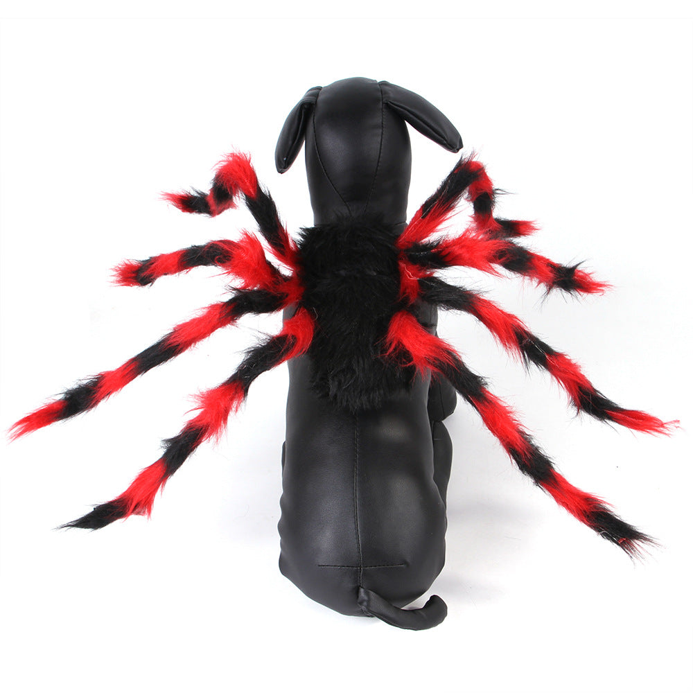 Pet Cat Dog Halloween Creative Spider Costume