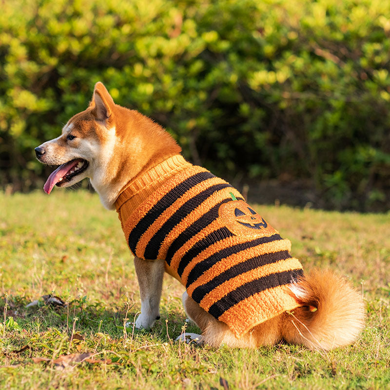 Halloween Dog Sweaters Pet Costume Teddy Warm Leisure Sweater Cosplay