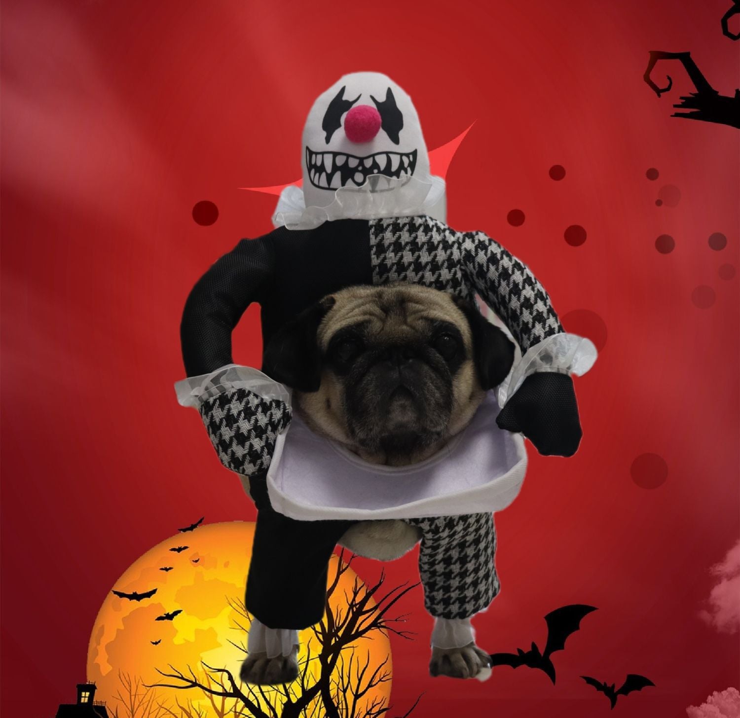 Pet Halloween Costume Photo Props Demon Transformation